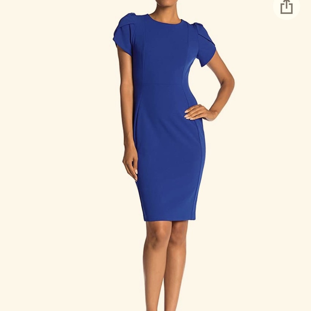 NWT Calvin Klein Sheath Dress with Tip Sleeves